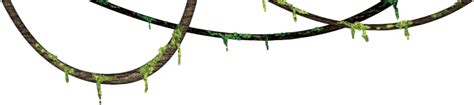 Jungle Vines - ClipArt Best