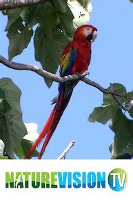 Watch Cinderella S Hot Night Online Movie Yidio