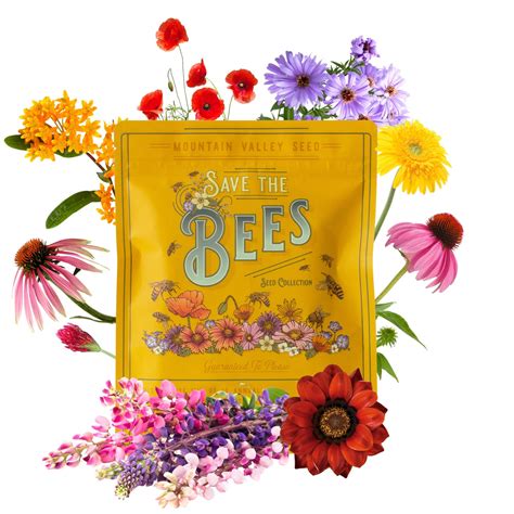 Planting Flower Seeds