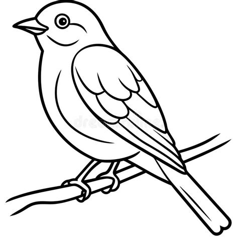 Eastern Bluebird Bird Sits Icon Vector Stock Vector - Illustration of