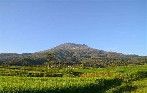 Misteri Tanah Jawa Yang Belum Terungkap Di Perut Gunung Lawu