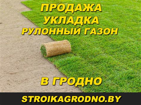 Рулонный газон в Гродно. Продажа и укладка под ключ - Строительство в ...