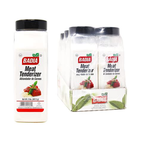 meat tenderizer powder   budget kr