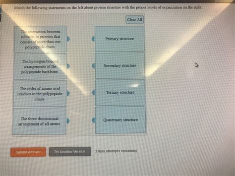 Solved on the left about protein structure with the proper | Chegg.com 
