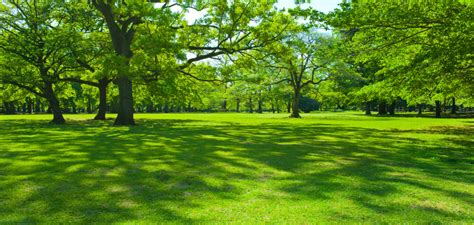 roomi park   visit park  rawalpindi pakistan