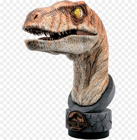 Free Download Hd Png 30 Jurassic Park Life Size Bust Male Raptor