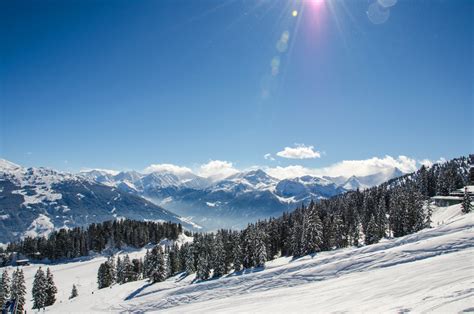 Freie – Tina Krzeminski