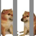 Horny Jail Meme Generator Imgflip