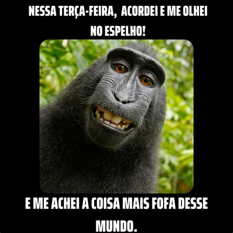 Imagem Engraçada Para O Whatsapp - 5
