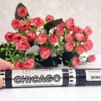 Тушь для ресниц Арт-визаж CHICAGO | отзывы