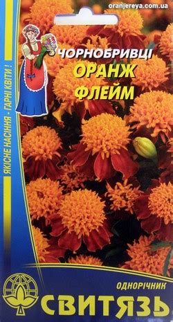 Насiння (семена) ЧОРНОБРИВЦІ РОЗЛОГІ ОРАНЖ ФЛЕЙМ, 0.5 г - Цветы ...