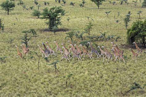 South Sudan National Park