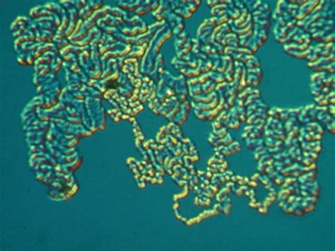 Optical Coating Degradation Problems Anderson Materials Evaluation