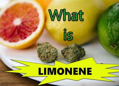 What is Limonene?