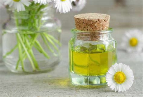 Маска для волос с имбирем в домашних условиях