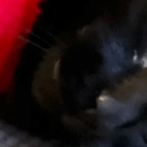 Amateur Grupo Sexo 2 XHamster