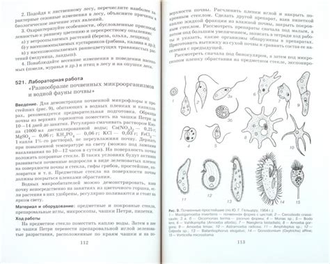 Blog Archives - newlifebrass