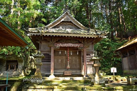 鎌倉市大船 熊野神社 本殿 写真素材 5259169 フォトライブラリー Photolibrary