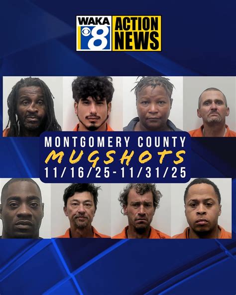 Unmasking The Truth A Deep Dive Into Montgomery County Texas Mugshots