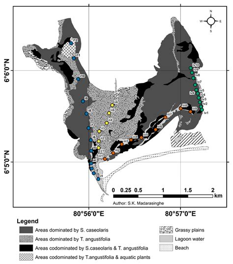Assessing the Influence of Anthropogenic Land-Use Changes on Bird