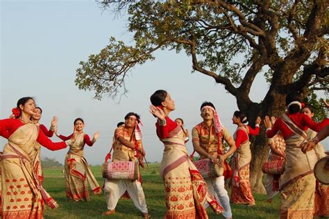bohag bihu festival  heartbeat  assam  de farm