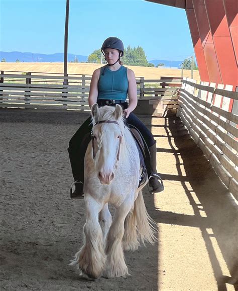 dream destination ranch 7