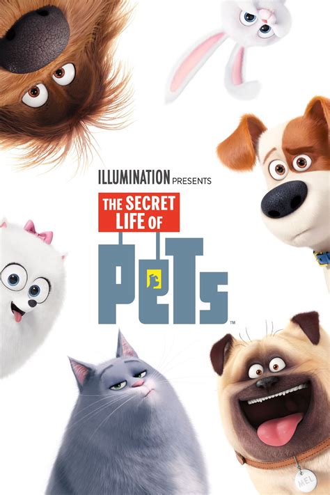 The Secret Life of Pets Summary, Latest News, Trailer, Cast, Where to