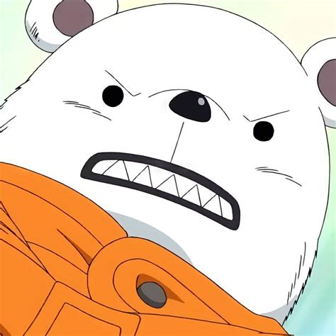 Bepo One Piece Cartoon Profile Pictures Animation Company One Piece