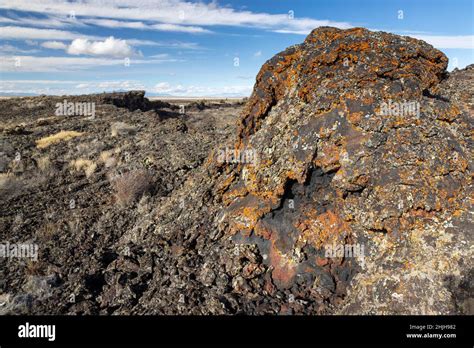 Lichen Covering A Large Rock Of Lava On A Volcanic Landscape Hells