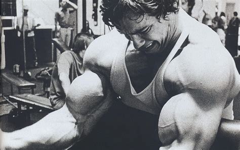 Arnold Schwarzenegger Bodybuilding Wallpaper Conquer