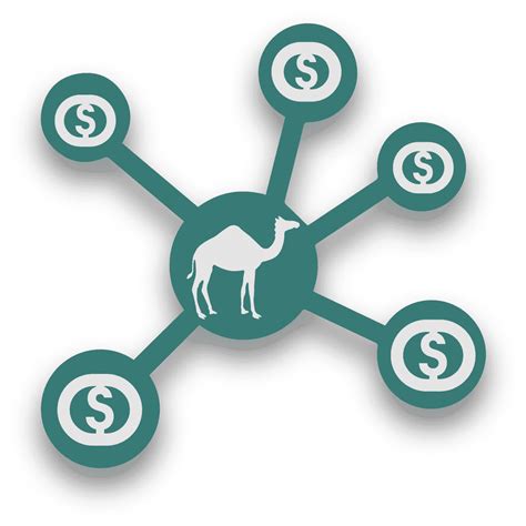 network camel financial