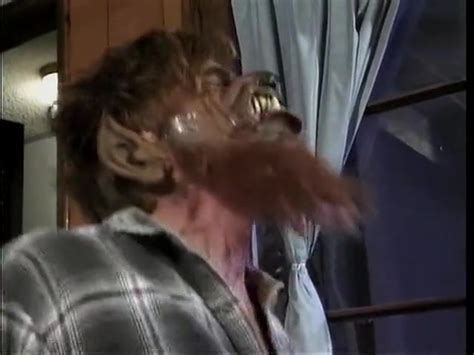 Layla Jade Porn Videos Porn Star Sex Scenes Xhamster