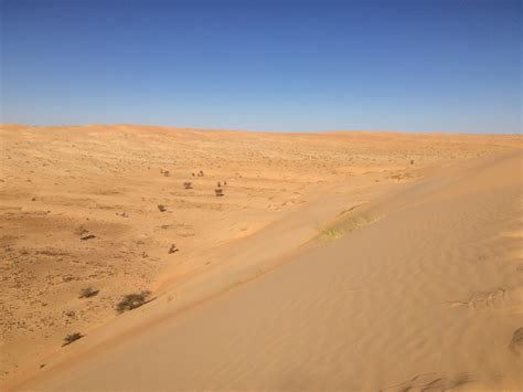 Singing Dunes Sidi Tours Mauritania