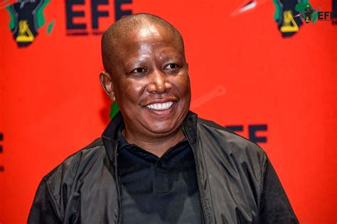 The Insight Factor On Twitter Malema Calls For The Arrest Of