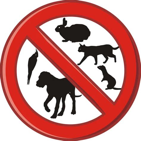С Животными Запрещено Картинки – Telegraph