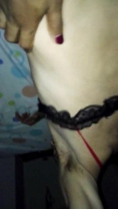 La Mia Trans Mi Ha Inculato In Lingerie Free Man HD Porn XHamster