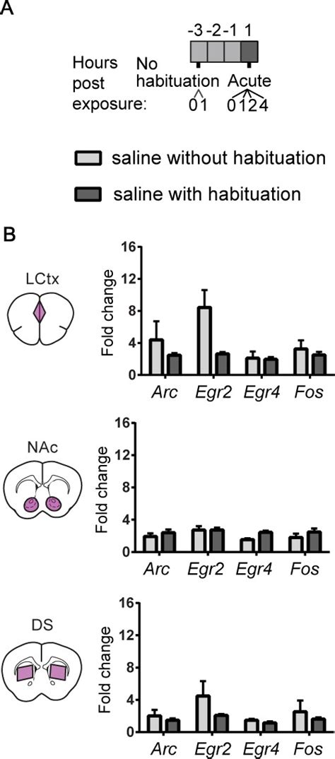 Figures And Data In Salient Experiences Are Represented By Unique