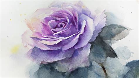 My new Watercolor painting of purple rose. Welcome to see my video how ...