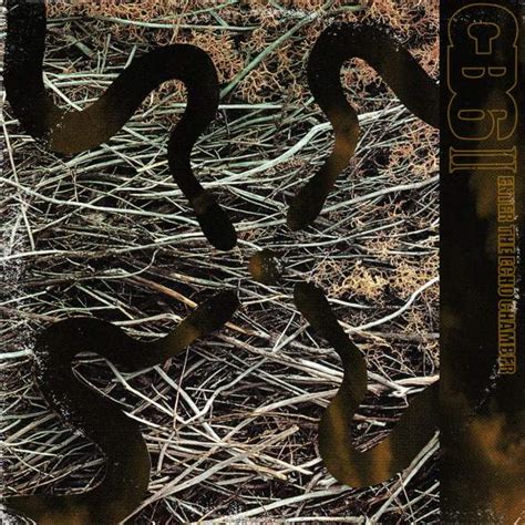 cb ii enter  echo chamber encyclopaedia metallum  metal