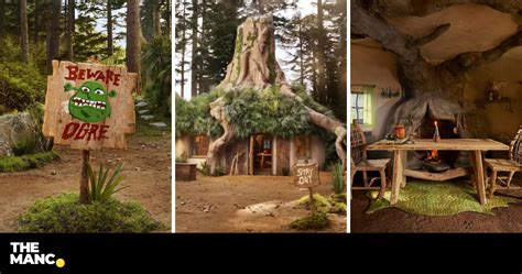 You Can Now Stay At Shreks Swamp On Airbnb — Yes Really The Manc