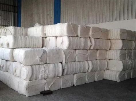 cotton bales   price  bhadrawati  shiya enterprise id