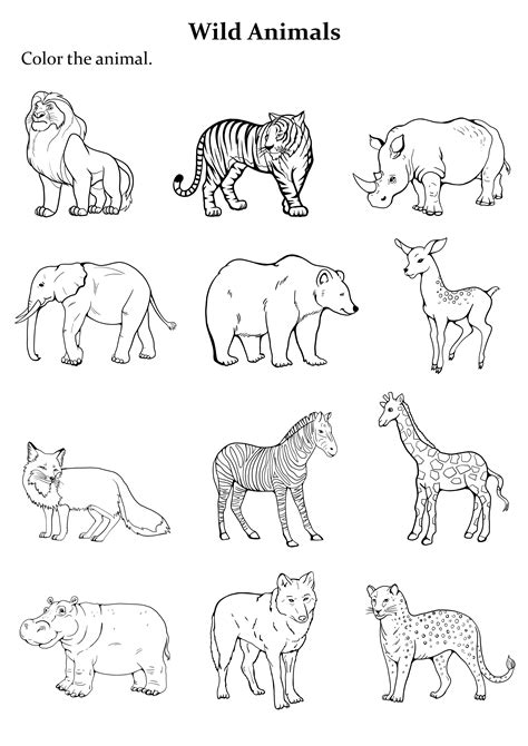 wild animal coloring pages pdf free 9