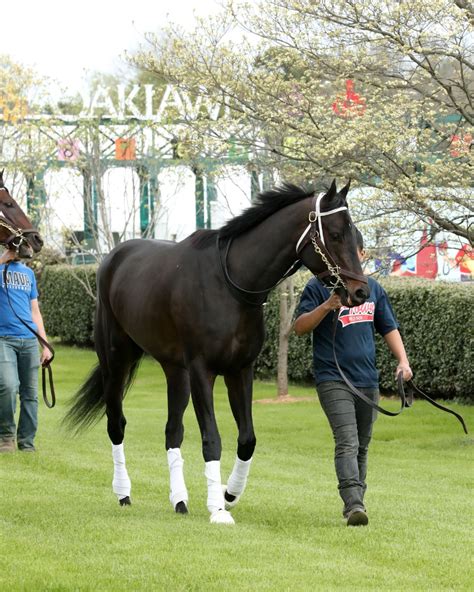 WET PAINT GOES FOR SWEEP IN THE FANTASY STAKES Oaklawn Hot Springs Arkansas