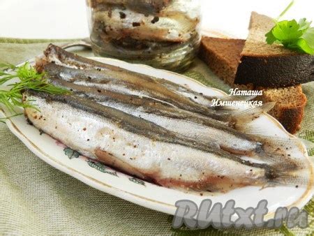 Мойва пряного посола: 5 фото в рецепте