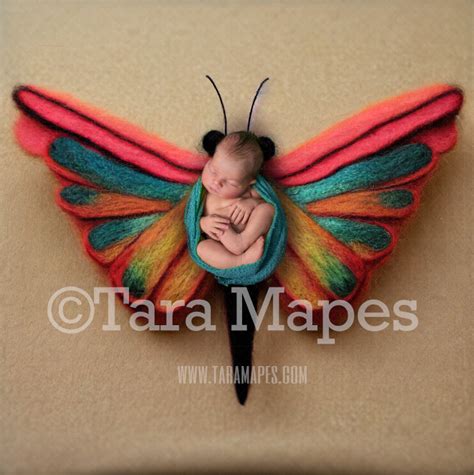 Needle Felted Butterfly Newborn Digital Backdrop Needle Felt