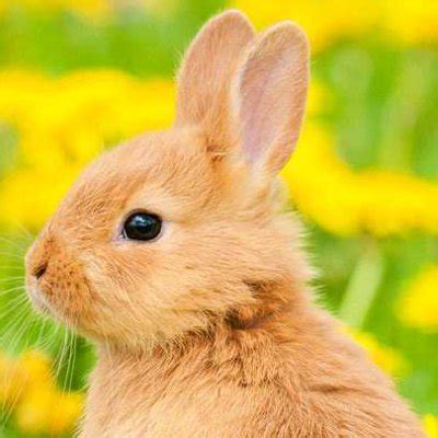 Sex Fakten Fakten Sex Twitter