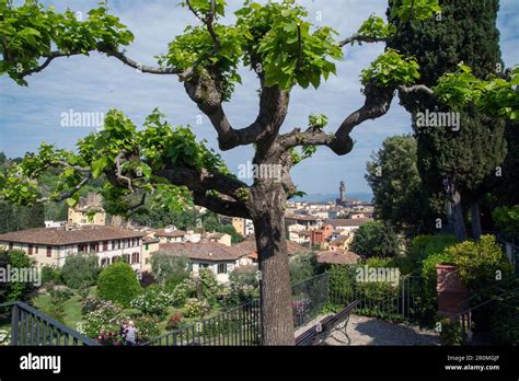 Giardino Delle Rose Florence Stock Photo Alamy
