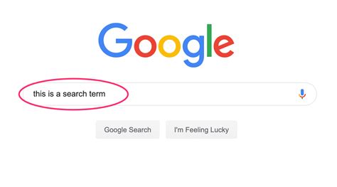 What are Search Terms? (With Examples)