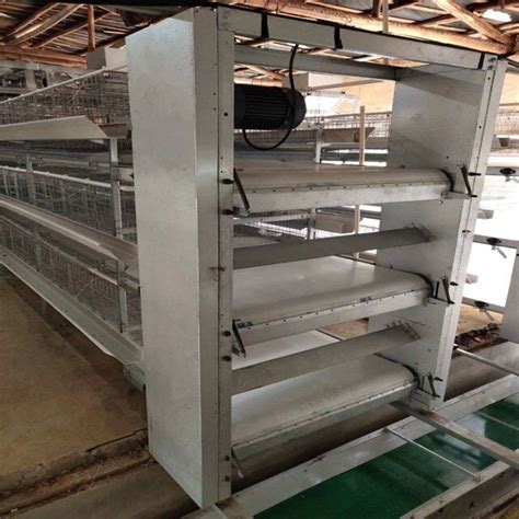 Plain Smooth Polypropylene Manure Removal Conveyor Belt Belt Width