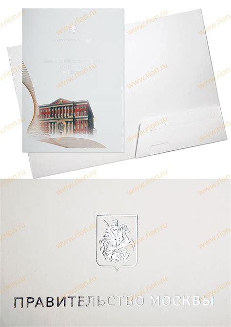 Папка вырубная из картона ~ образец RS0587 ~ Типография РИОН